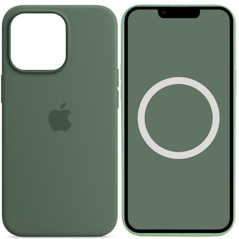 Чохол Silicone case (AAA) full with Magsafe and Animation для Apple iPhone 13 Pro (6.1") (Зелений / Eucalyptus)