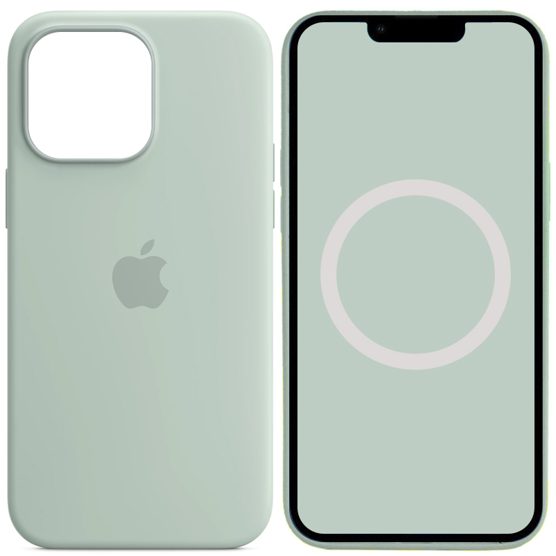 Чехол Silicone case (AAA) full with Magsafe and Animation для Apple iPhone 14 Pro Max (6.7") (Бирюзовый / Succulent)