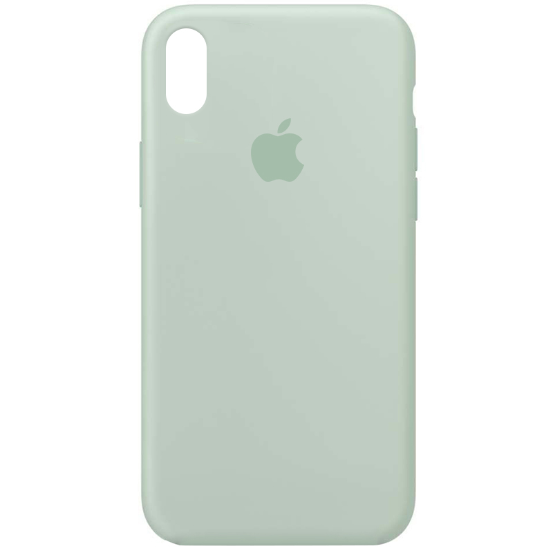 Чехол Silicone Case Full Protective (AA) для Apple iPhone XS Max (6.5") (Бирюзовый / Beryl)