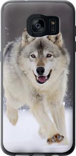 Чехол на Samsung Galaxy S7 Edge G935F Бегущий волк