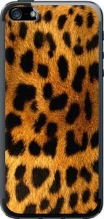 Чехол на iPhone SE Шкура леопарда