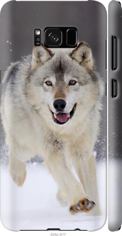 Чехол на Samsung Galaxy S8 Plus Бегущий волк