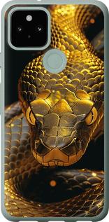 Чехол на Google Pixel 5 Golden snake
