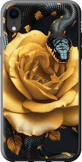 Чехол на iPhone XR Black snake and golden rose
