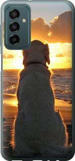 Чехол на Samsung Galaxy M23 M236B Закат и собака