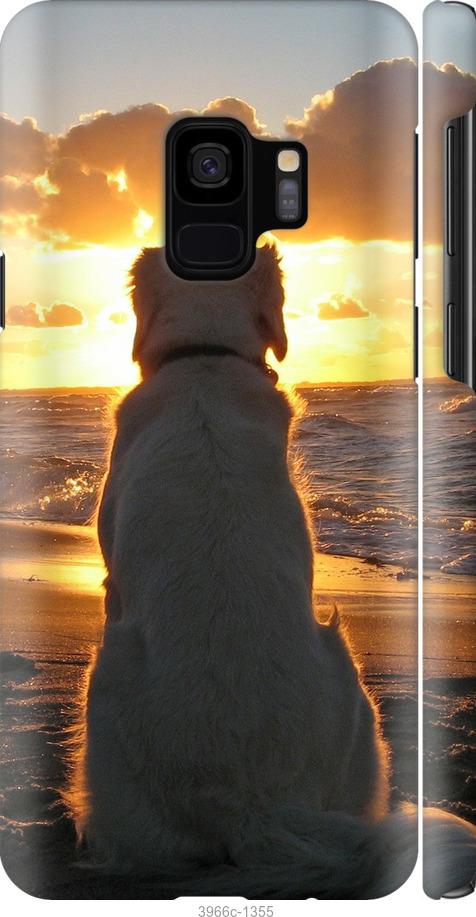 Чехол на Samsung Galaxy S9 Закат и собака