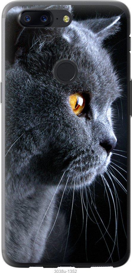 Чехол на OnePlus 5T Красивый кот