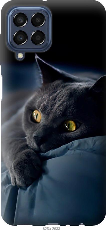Чехол на Samsung Galaxy M33 M336B Дымчатый кот