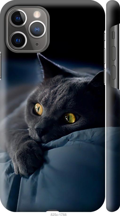 Чехол на iPhone 12 Дымчатый кот