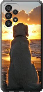 Чехол на Samsung Galaxy A33 5G A336B Закат и собака