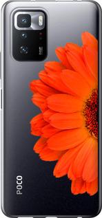 Чехол на Xiaomi Redmi Note 10 Pro 5G Гербера 1