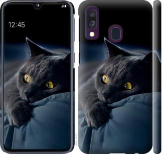 Чехол на Samsung Galaxy A40 2019 A405F Дымчатый кот