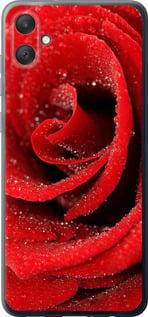 Чехол на Samsung Galaxy A05 Красная роза