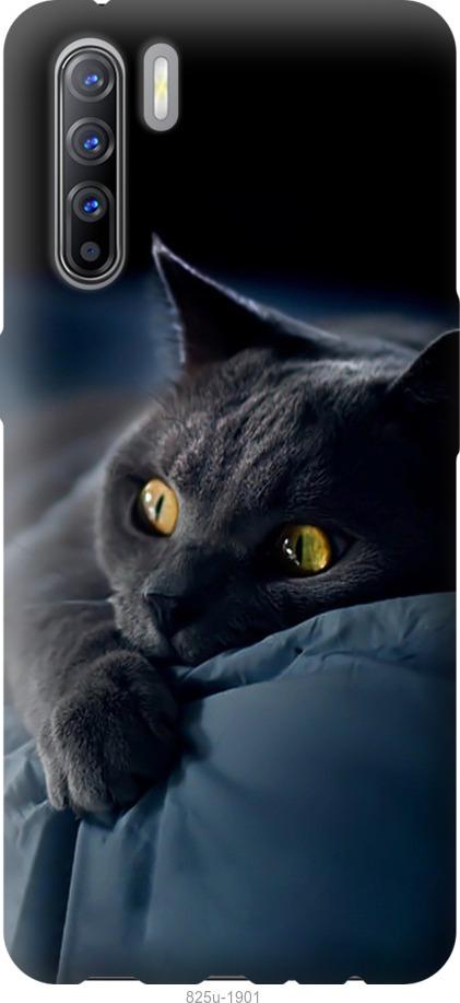 Чехол на Oppo A91 Дымчатый кот