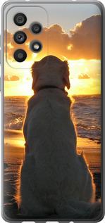 Чехол на Samsung Galaxy A73 A736B Закат и собака
