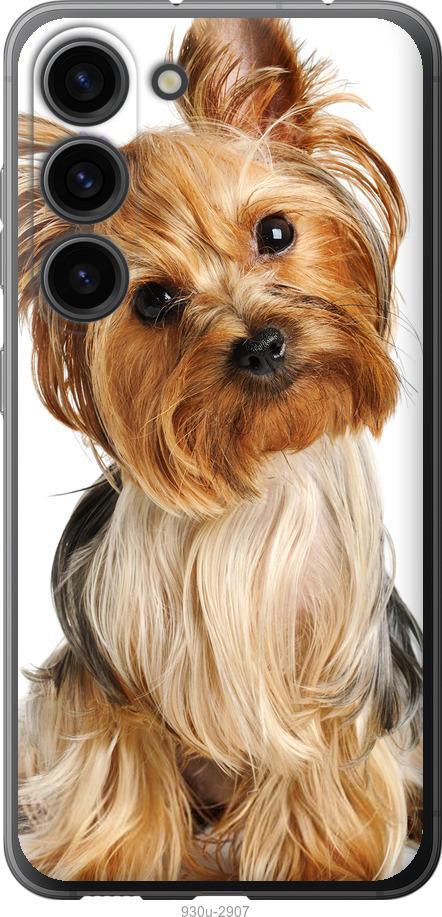 Чехол на Samsung Galaxy S23 Йоркширский терьер с хвостиком