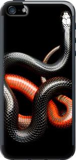 Чехол на iPhone SE Красно-черная змея на черном фоне