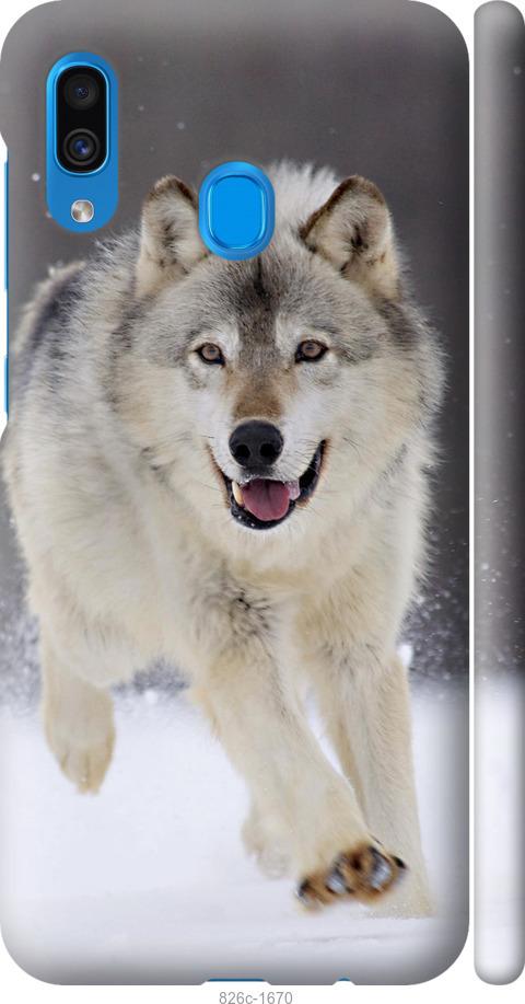 Чехол на Samsung Galaxy A20 2019 A205F Бегущий волк