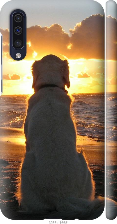 Чехол на Samsung Galaxy A30s A307F Закат и собака