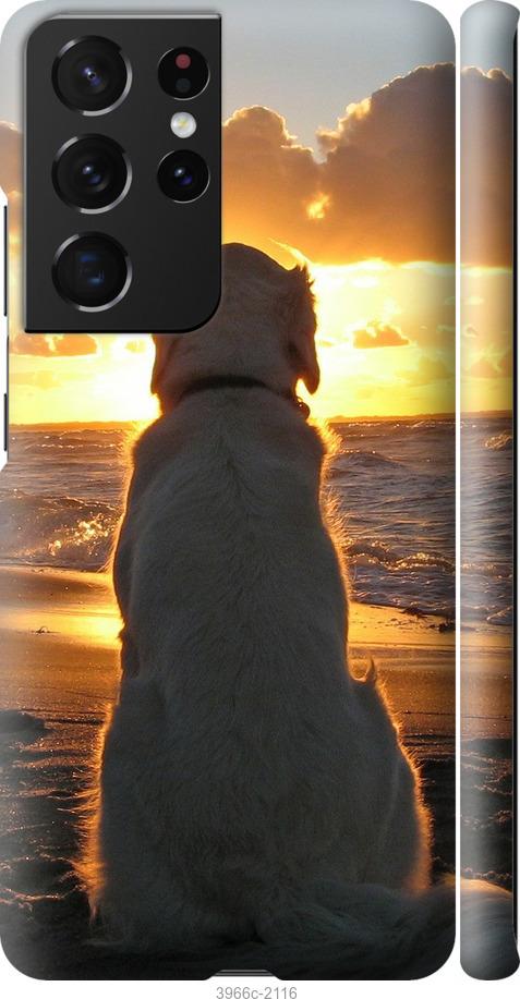 Чехол на Samsung Galaxy S21 Ultra (5G) Закат и собака