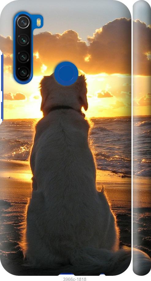 Чехол на Xiaomi Redmi Note 8T Закат и собака