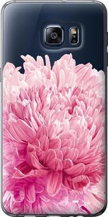 Чехол на Samsung Galaxy S6 Edge Plus G928 Хризантема