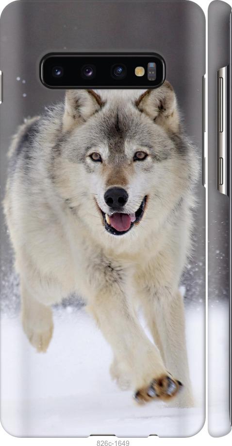 Чехол на Samsung Galaxy S10 Plus Бегущий волк