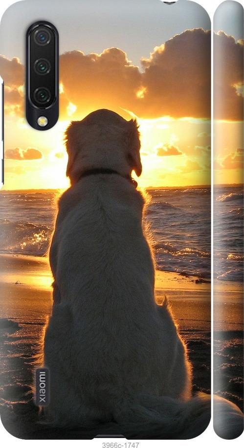 Чехол на Xiaomi Mi 9 Lite Закат и собака