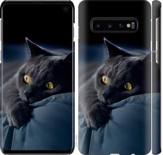 Чехол на Samsung Galaxy S10 Дымчатый кот