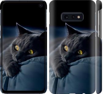 Чехол на Samsung Galaxy S10e Дымчатый кот
