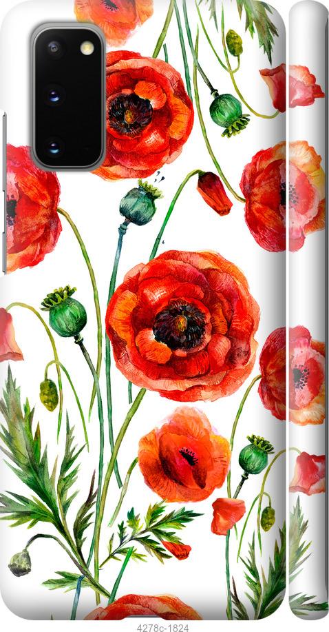 Чехол на Samsung Galaxy S20 Нарисованные маки