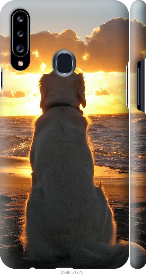 Чехол на Samsung Galaxy A20s A207F Закат и собака