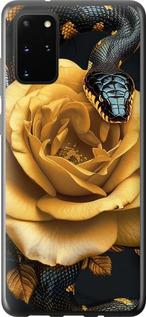 Чехол на Samsung Galaxy S20 Plus Black snake and golden rose