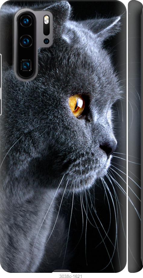 Чехол на Huawei P30 Pro Красивый кот