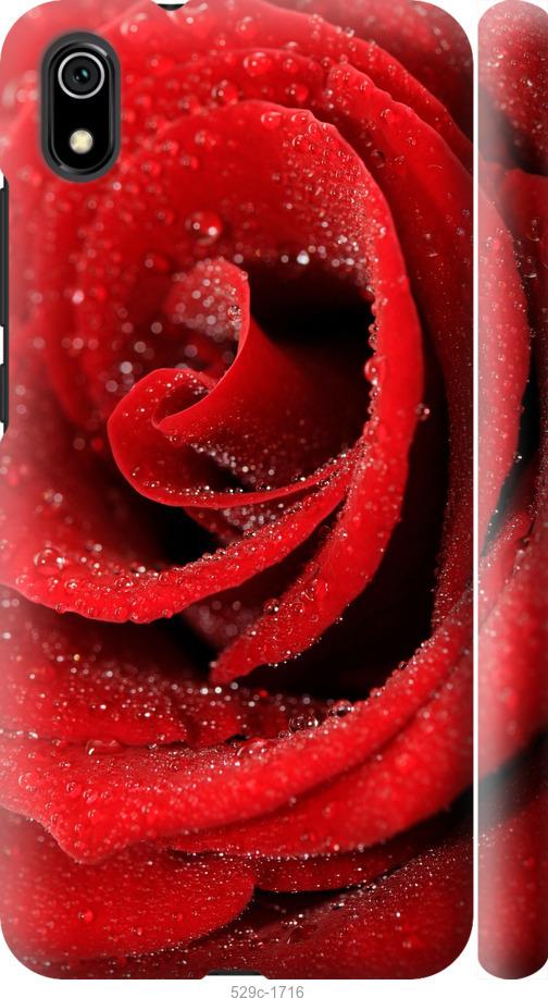 Чехол на Xiaomi Redmi 7A Красная роза