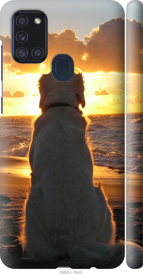 Чехол на Samsung Galaxy A21s A217F Закат и собака