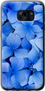 Чехол на Samsung Galaxy S7 G930F Синие цветы