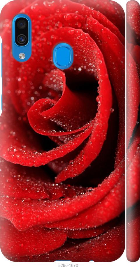 Чехол на Samsung Galaxy A20 2019 A205F Красная роза