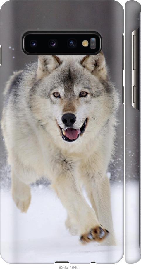 Чехол на Samsung Galaxy S10 Бегущий волк