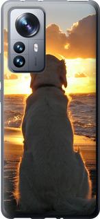 Чехол на Xiaomi 12 Pro Закат и собака