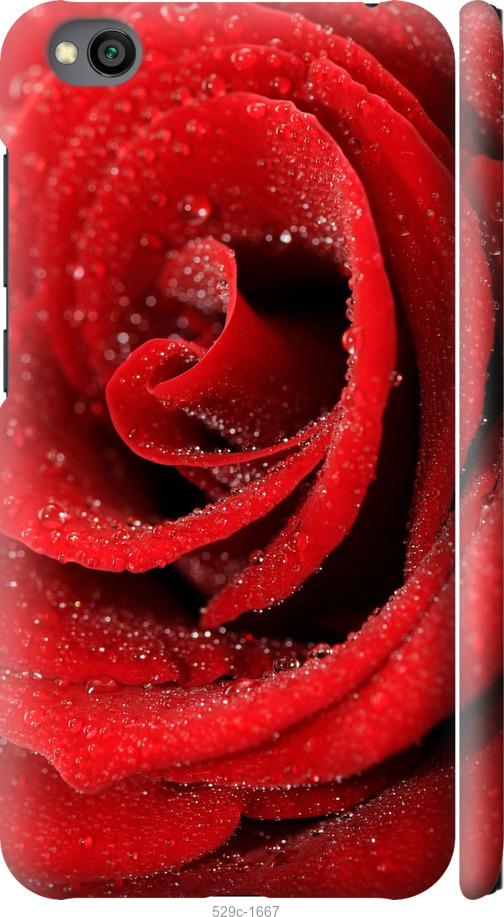 Чехол на Xiaomi Redmi Go Красная роза