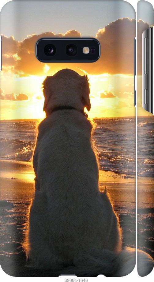 Чехол на Samsung Galaxy S10e Закат и собака