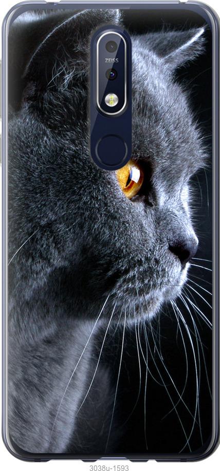Чехол на Nokia 7.1 Красивый кот