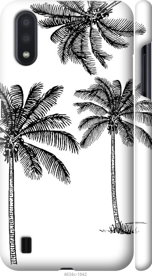 Чехол на Samsung Galaxy A01 A015F Пальмы1