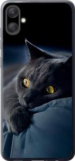 Чехол на Samsung Galaxy A05 Дымчатый кот