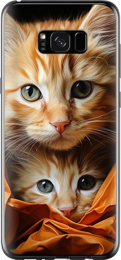 Чехол на Samsung Galaxy S8 Plus Котики 2