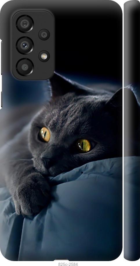 Чехол на Samsung Galaxy A33 5G A336B Дымчатый кот