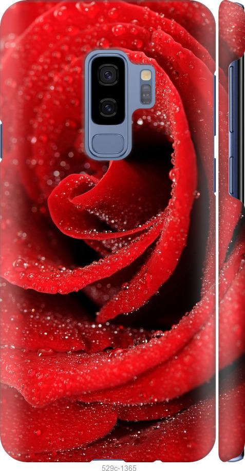 Чехол на Samsung Galaxy S9 Plus Красная роза