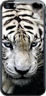 Чехол на iPhone SE Грустный белый тигр