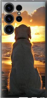 Чехол на Samsung Galaxy S23 Ultra Закат и собака